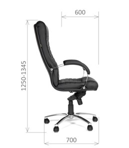 Кресло офисное CHAIRMAN 480 Экокожа премиум черная в Тюмени - предосмотр 2